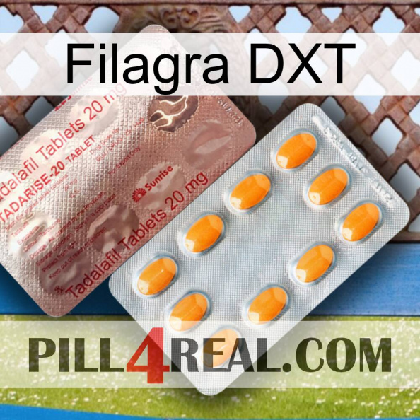 Filagra DXT new13.jpg